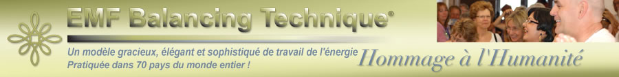 EMF logo - click for Home Page